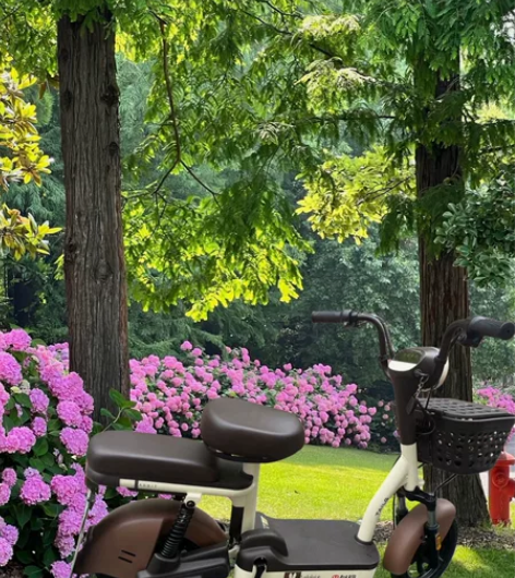 台铃款雅迪电动车关联爱玛台铃小牛去年公司年...