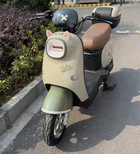 个人一手，新国标黄牌。特价处理了，电池没有...