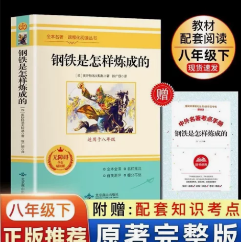 钢铁是怎样炼成的 正版（赠考点手册） 奥斯...