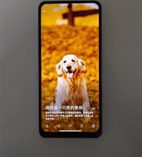 红米Redmi K40 Pro（5G）8+...