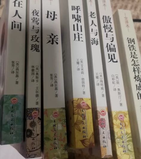 大大的名著，应该好吧，反正我没看过在人间(...