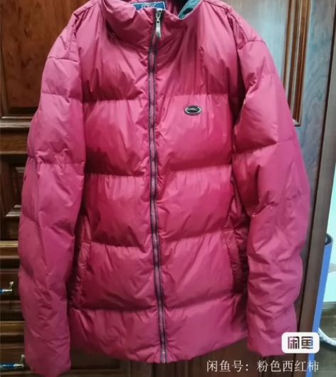 男士羽绒服，品牌：闪电 9.9成新，羽绒厚...
