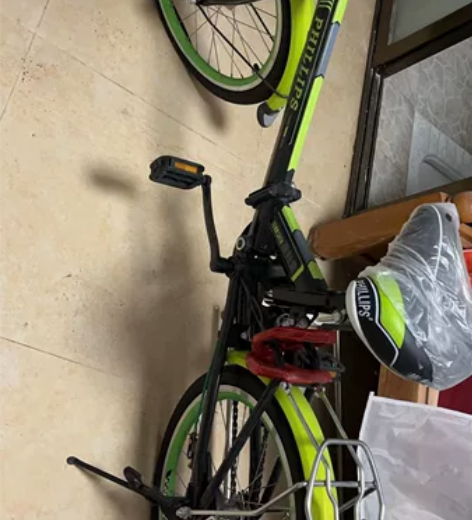 全新飞利浦自行车 适合小朋友 全新 家里人...
