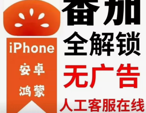 番茄畅听会员版，去广告，享会员全部权益 其...