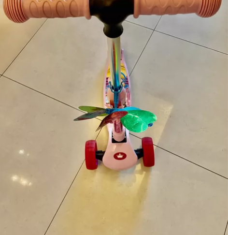 Disney滑板车,因为有两个,基本玩的很...