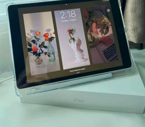 自用iPad 2020款8代10.2寸  ...