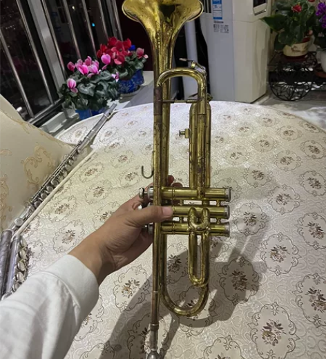 星海小号 成色如图  不知还能不能用 品相...