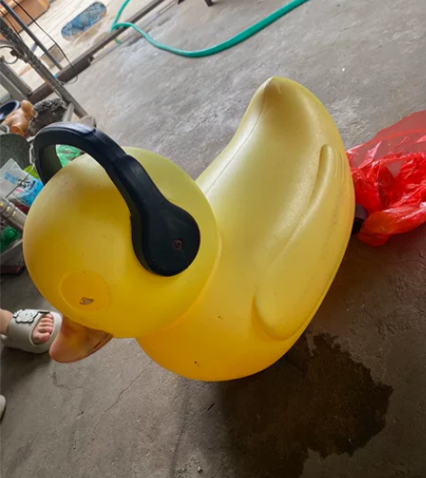 儿童玩具鸭子车，10元出，自提 感兴趣的话...