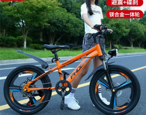 凤凰山地车儿童自行车 自行车山地车中大童6...
