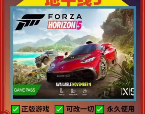 地平线5标准版 正版全新白号 steam平...