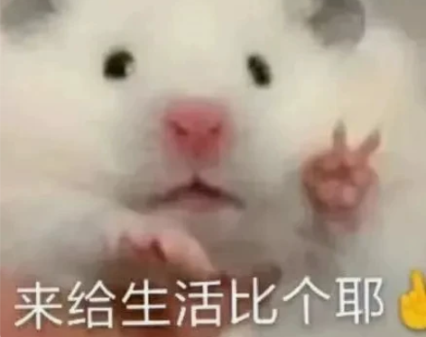 教乐理，听音，练耳，声乐（美声.民族.流行...