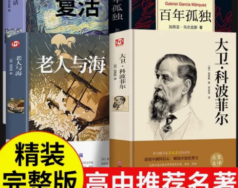全套4册 百年孤独+大卫科波菲尔+老人与海...