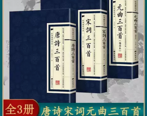 大全鉴赏辞典词典赏析古代古典诗词书籍