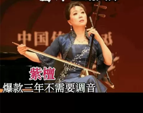 免调音紫檀红木二胡万菊根高档成人儿童专业考...