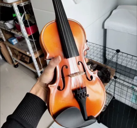 艺考落榜了看着心烦，转让原价3500的小提...