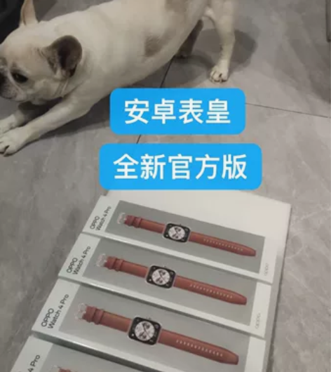 安卓表皇 OPPO Watch 4 Pro...