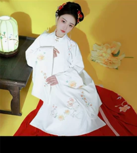 汉服S，上下两件套，仅拍照试穿，9成新以上...