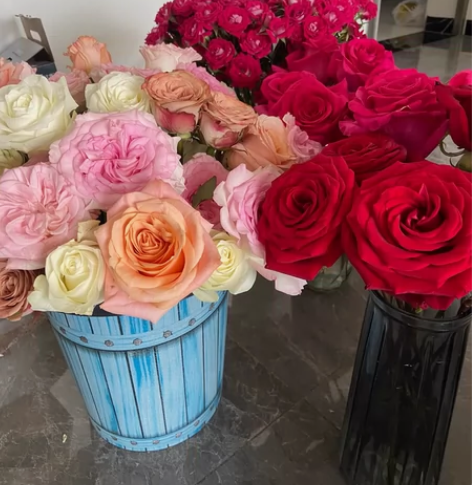 40朵45包邮玫瑰鲜花云南鲜花基地直发玫瑰...