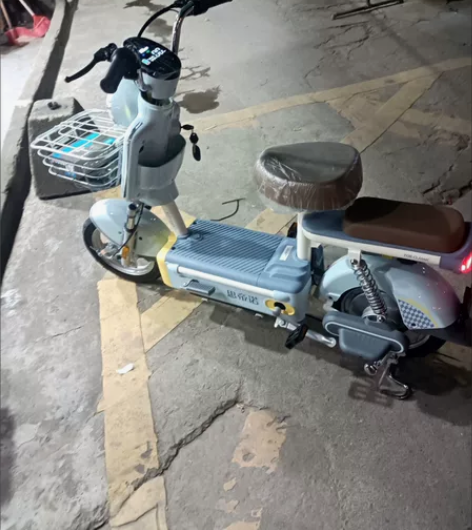 思帝诺羚豆摩登电动电动车国标48成人自行车...