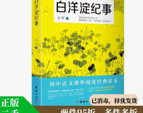正版二手 白洋淀纪事 9787512656...