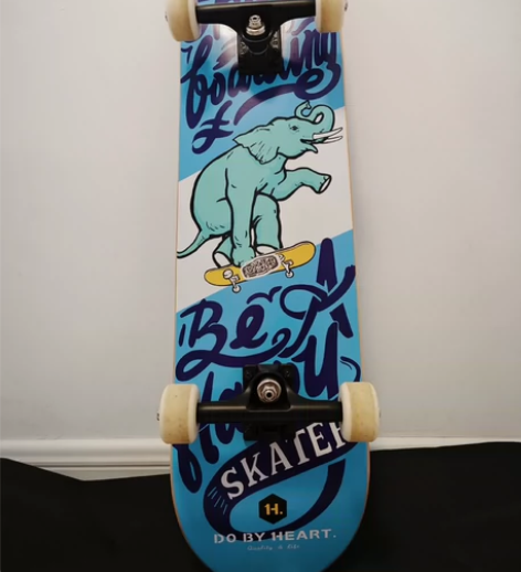 DBH滑板初学者儿童男女生成人双翘专业板 ...