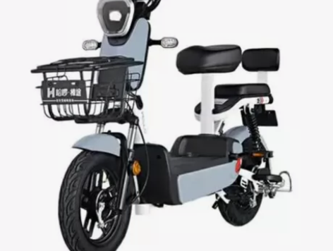 哈啰电动车新国标电动自行车轻便电瓶车棒途H...