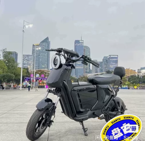 最便宜小牛电动车奇迹牛带牌销售 时尚版+中...