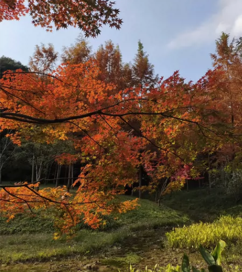 杭州植物园门票 4元 电子门票随买随用,接...