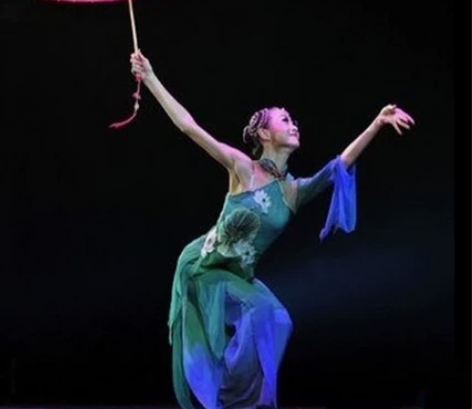 羽化灵蛇民族装舞台装 定制款 ，体重95，...