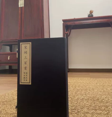 宋词三百首线装古籍仿古 砍价免开尊口 感兴...