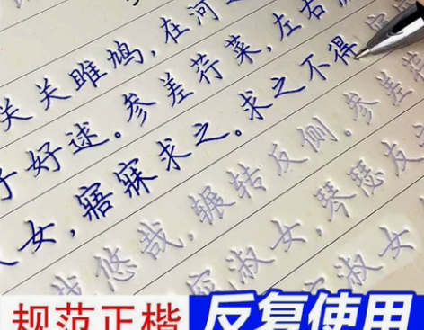 正楷练字本成年人速成楷书练习字练字帖小学生...