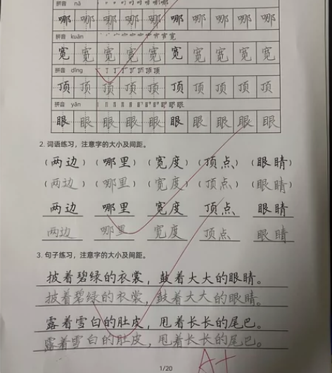 小学硬笔书法楷书考试卷面书写提分练习，自行...