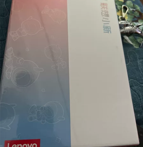联想小新Pad 2024 轻薄机身 学测练...