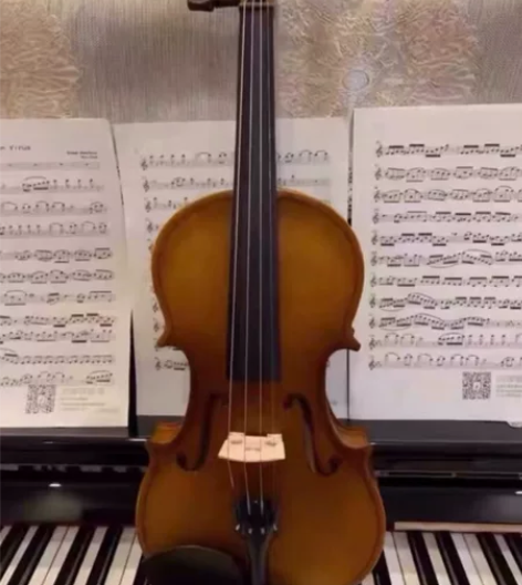 在校大学生一枚，放假不想带 转让原价260...