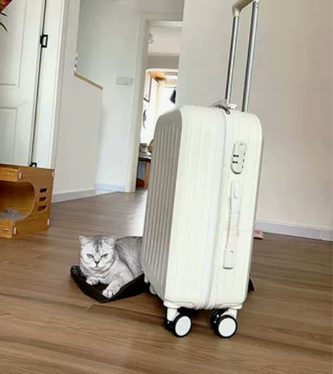 突然得搬家！出闲置20寸行李箱，全新的，高...