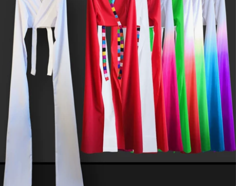 藏族水袖舞蹈服练习袖上衣古典练功服甩袖演出...