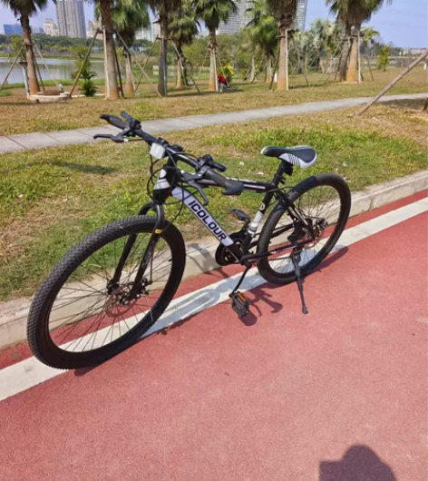 ICOLOUR公路自行车 感兴趣的话点“我...