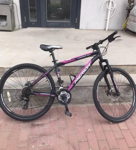 美丽达自行车300D 不议价不议价不议价实...