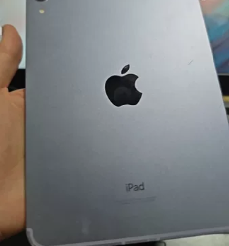 ?100电池效率iPadmini6插卡版6...