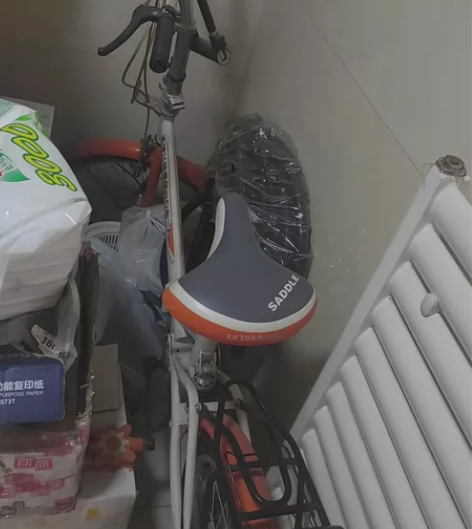 天津飞鸽自行车，可折叠，适合儿童骑行 感兴...