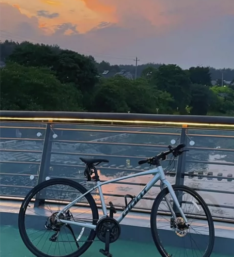 【原价3588，现低价出】捷安特公路车逃脱...