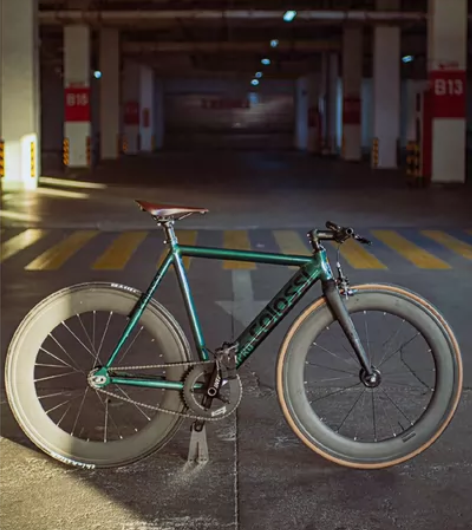 colossi鹦鹉绿 我真的想不出形容词来...