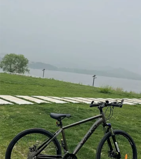 出   沃雷顿红日300 2024年6月1...