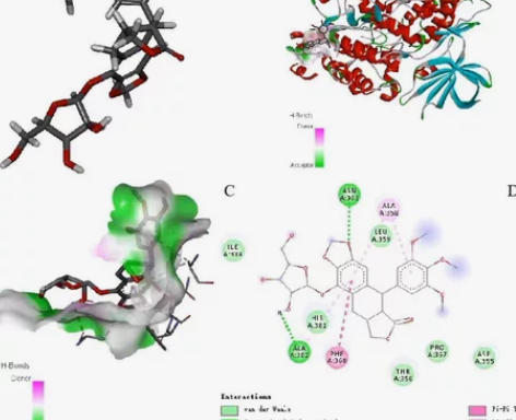 DS，pymol，moe，sybyl等计算...