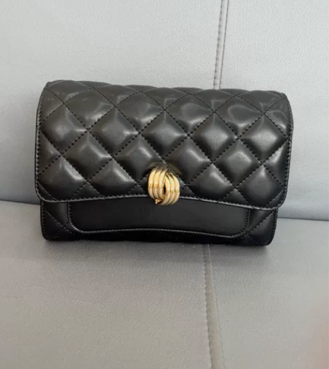 【全新】啄木鸟2023新款真皮小包包单肩包...