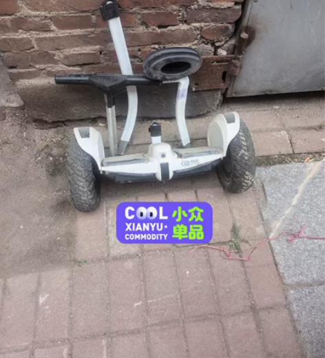 领奥，平衡车 感兴趣的话点“我想要”和我私...