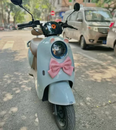 【转】个人新国标9成新美少女颜值爆表二手电...