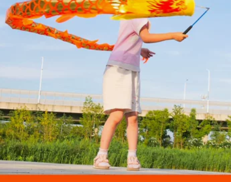 舞龙彩带儿童甩龙健身幼儿园广场手耍龙彩条龙...