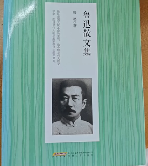鲁迅散文集鲁迅散文集/中国名家散文经典 感...