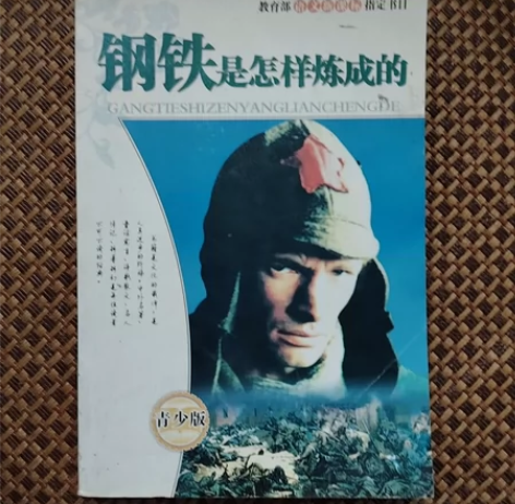 世界名著~《钢铁是怎样炼成的》 人民日报出...